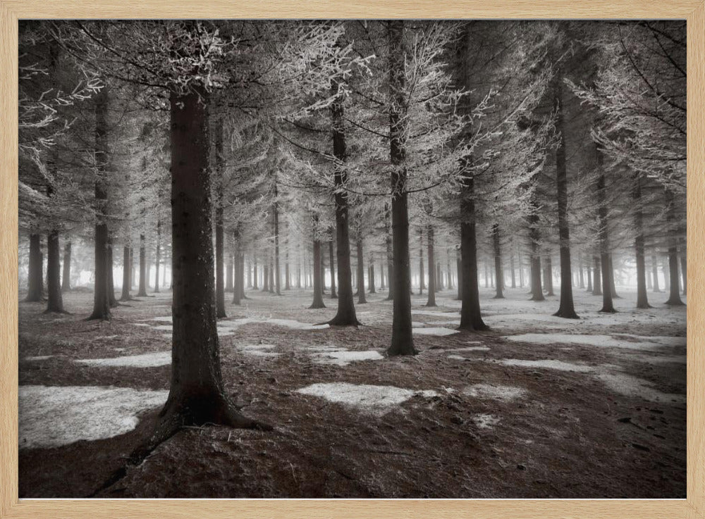 Der Wintereinbruch | Poster