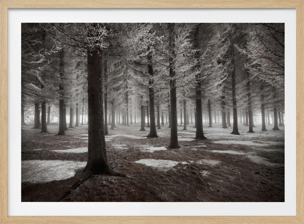 Der Wintereinbruch | Poster