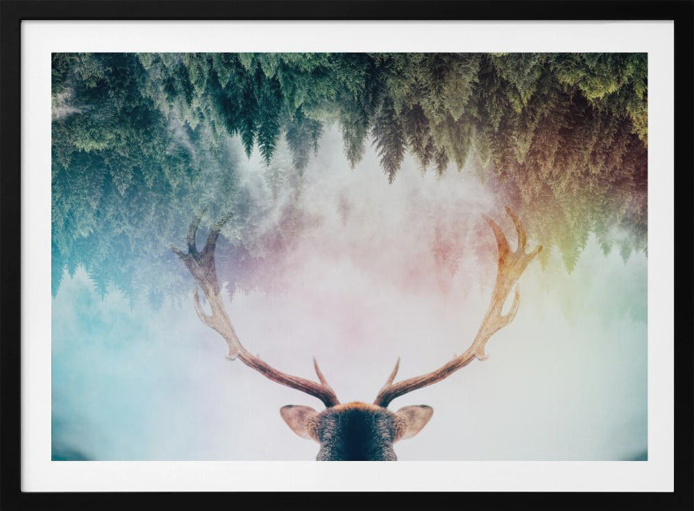 Geweih | Poster
