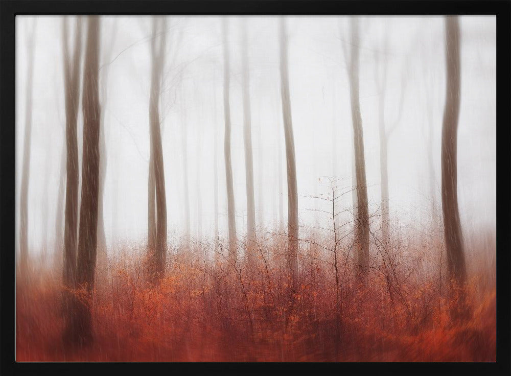 Endlose Wälder | Poster