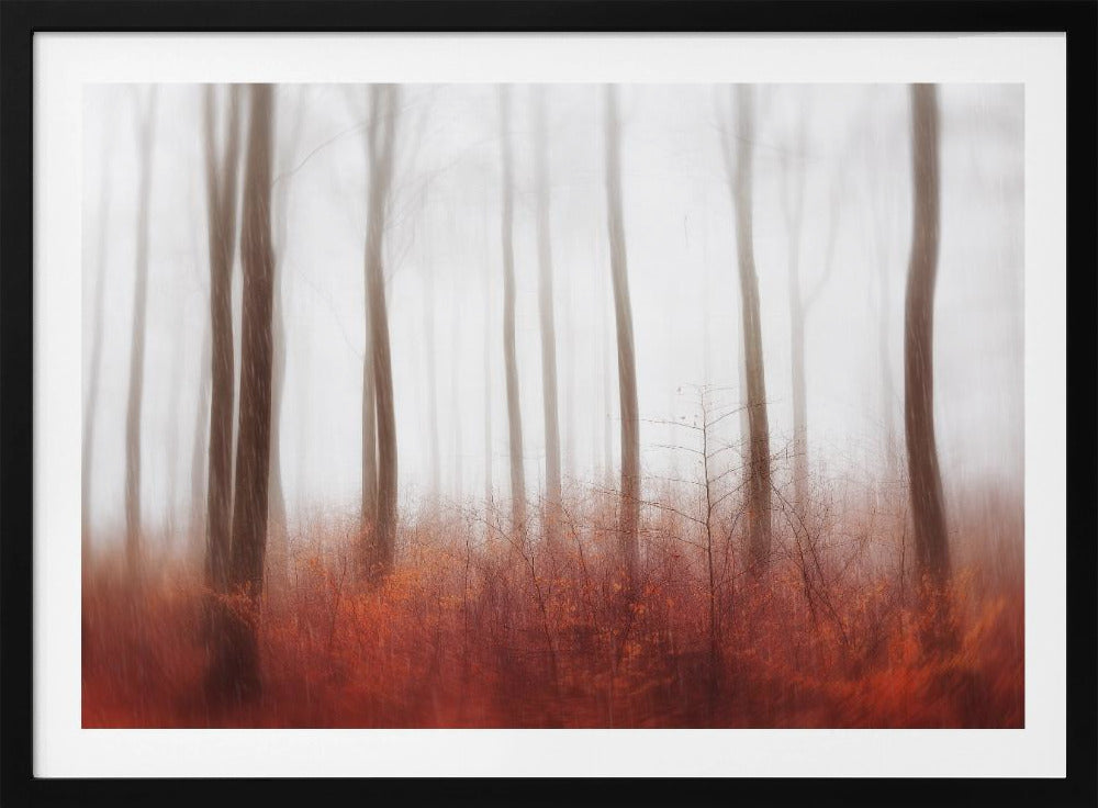 Endlose Wälder | Poster