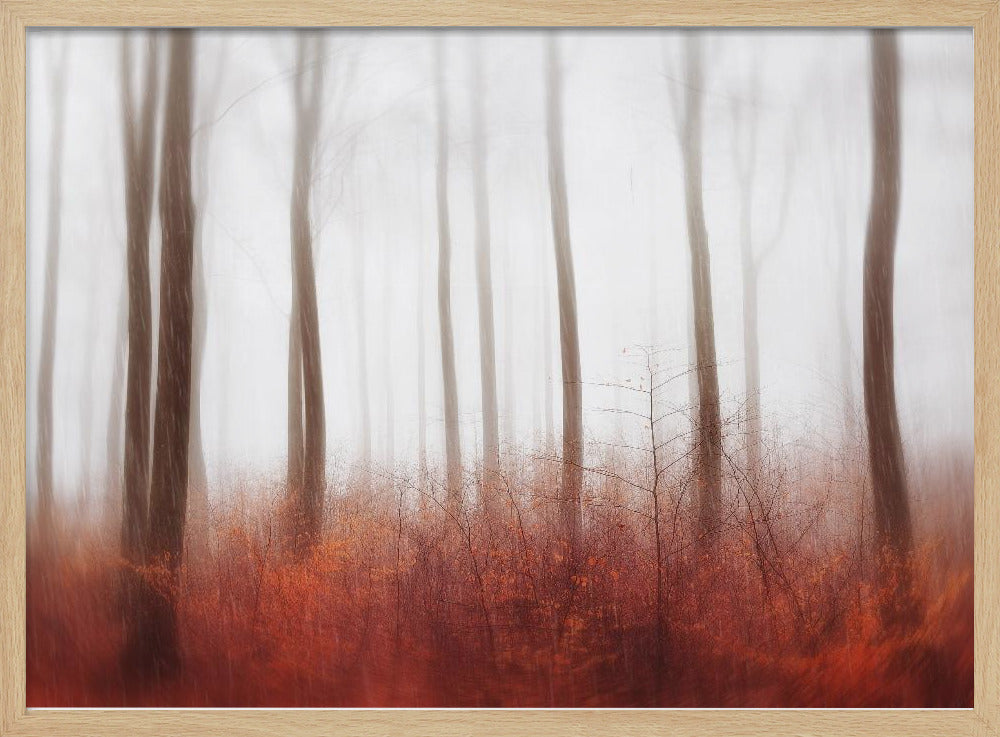 Endlose Wälder | Poster