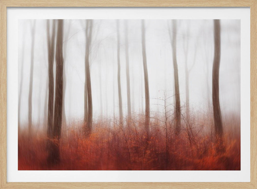 Endlose Wälder | Poster