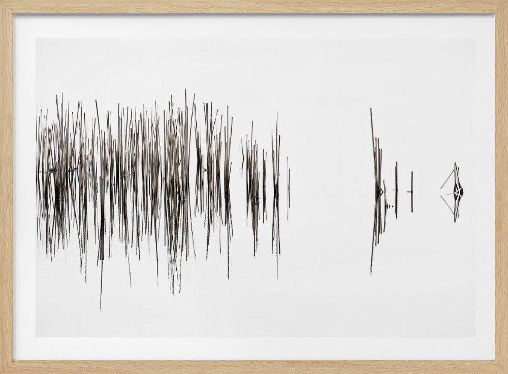 Rhythmus | Poster
