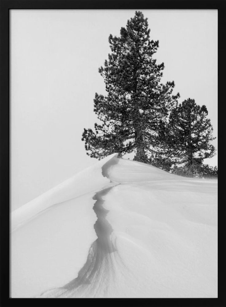 Über Schnee und Formen | Poster