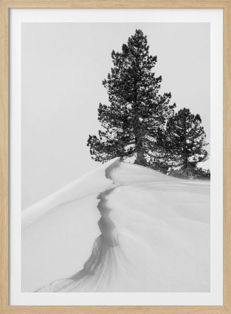 Über Schnee und Formen | Poster
