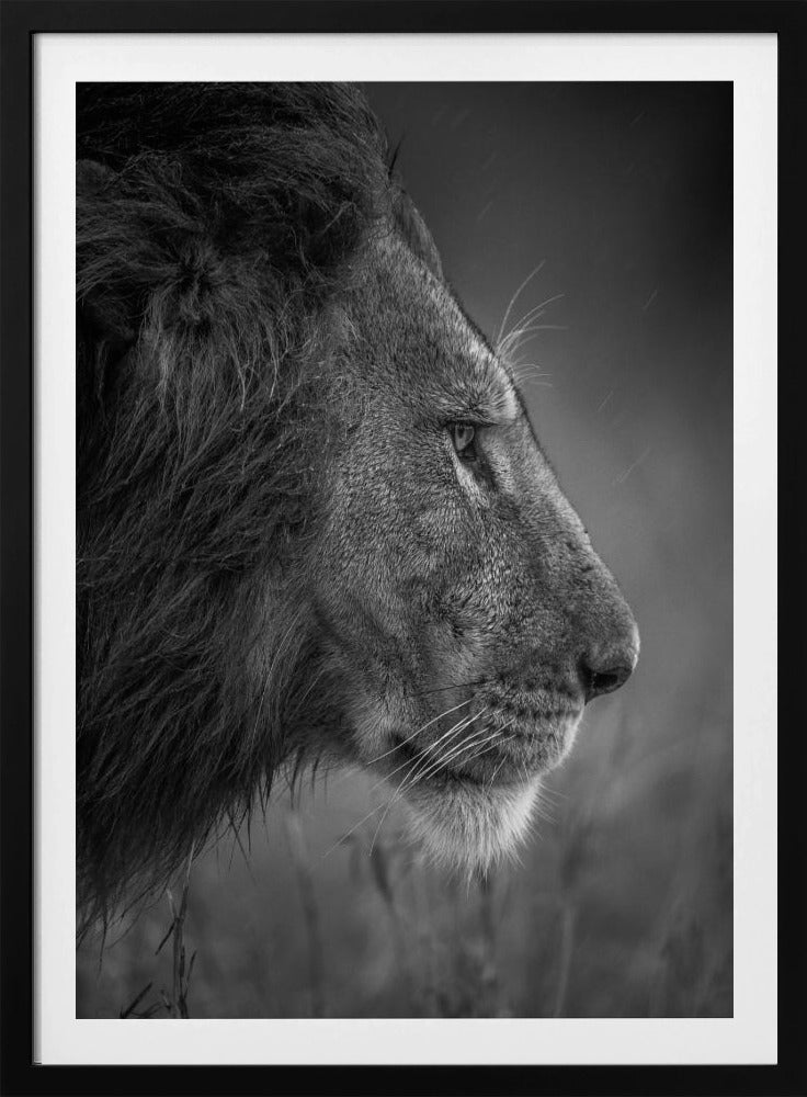 Denken im Regen | Poster