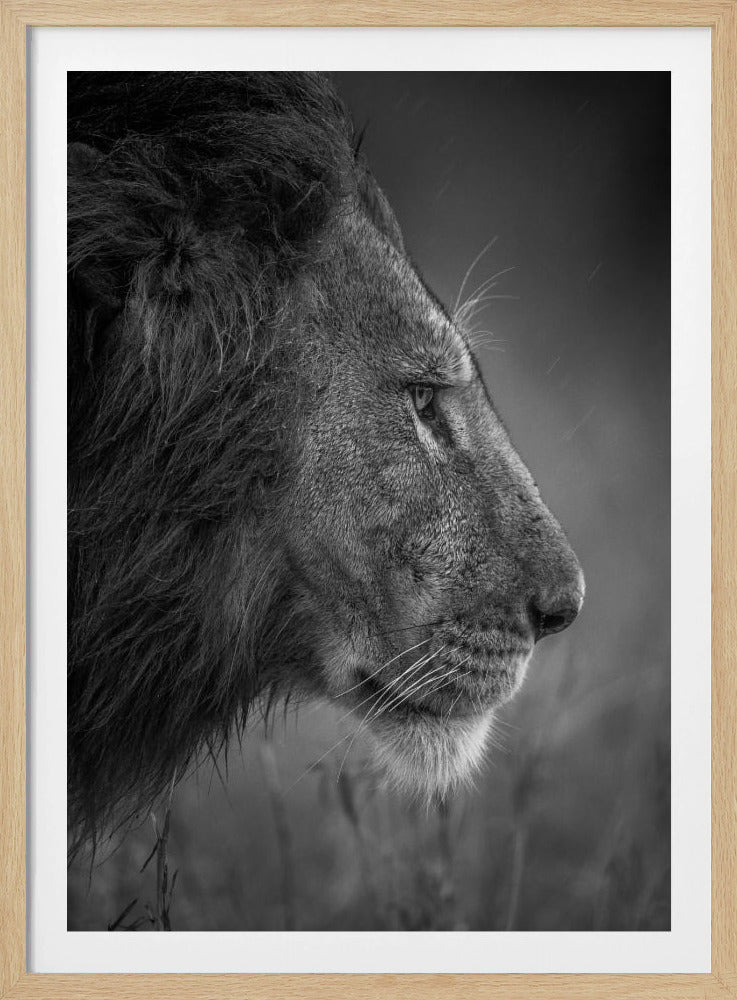 Denken im Regen | Poster