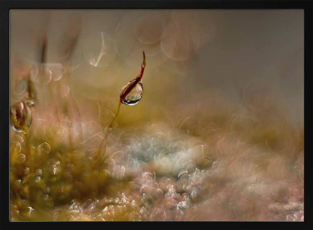 Moss world | Poster