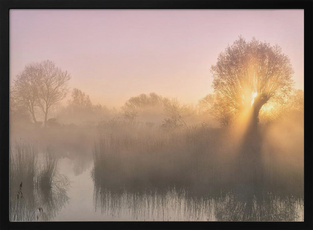 Stille | Poster