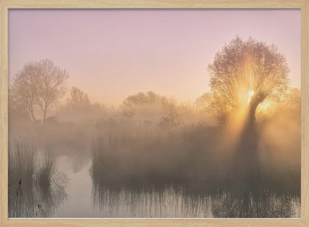 Stille | Poster