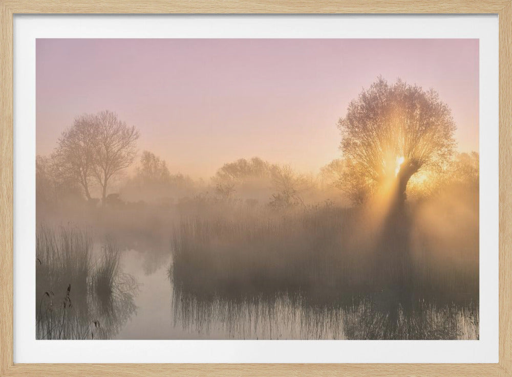 Stille | Poster