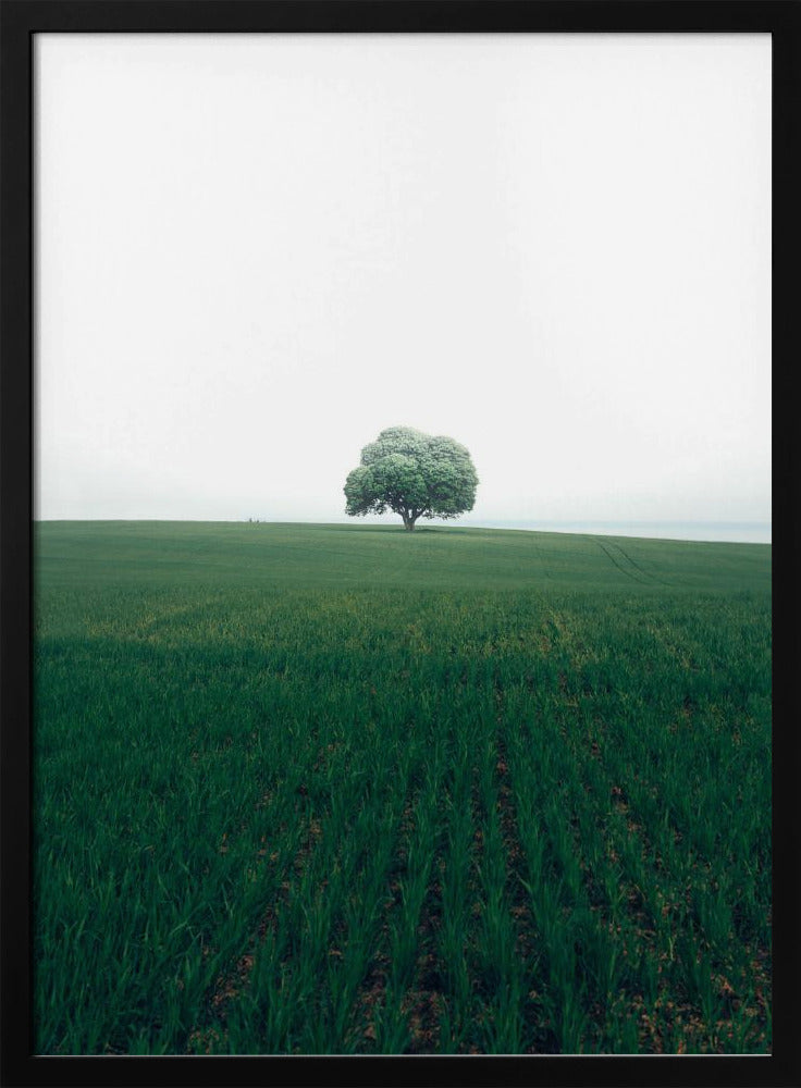 Die einsame Eiche | Poster