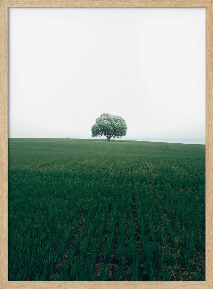 Die einsame Eiche | Poster