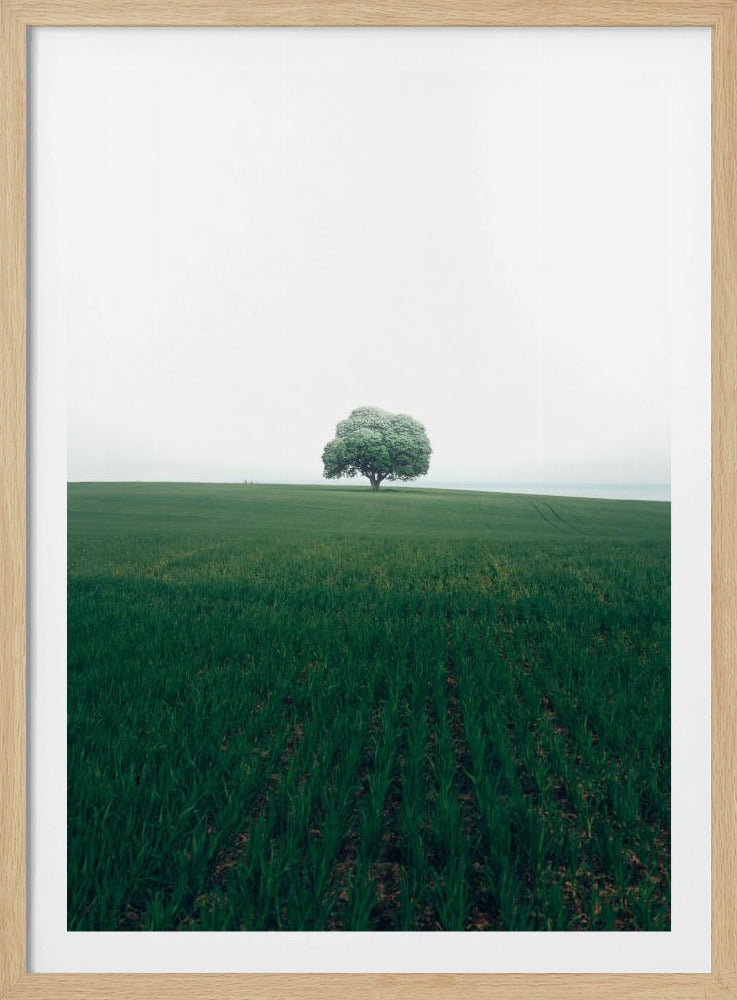 Die einsame Eiche | Poster