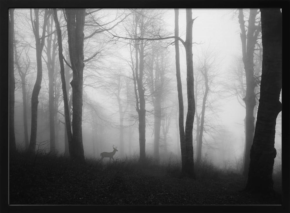 Wald | Poster
