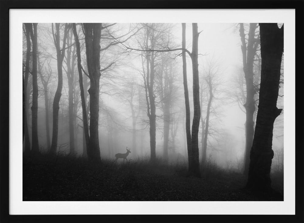 Wald | Poster