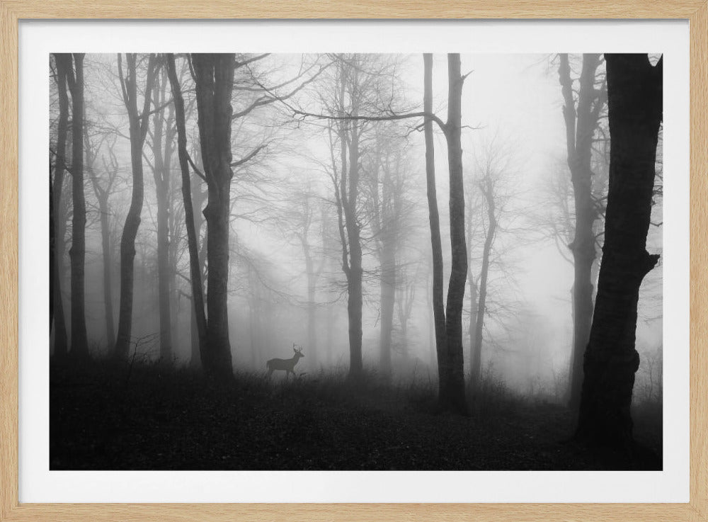 Wald | Poster