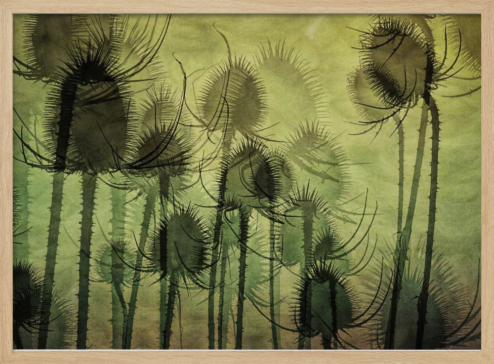 Wilde Karde | Poster
