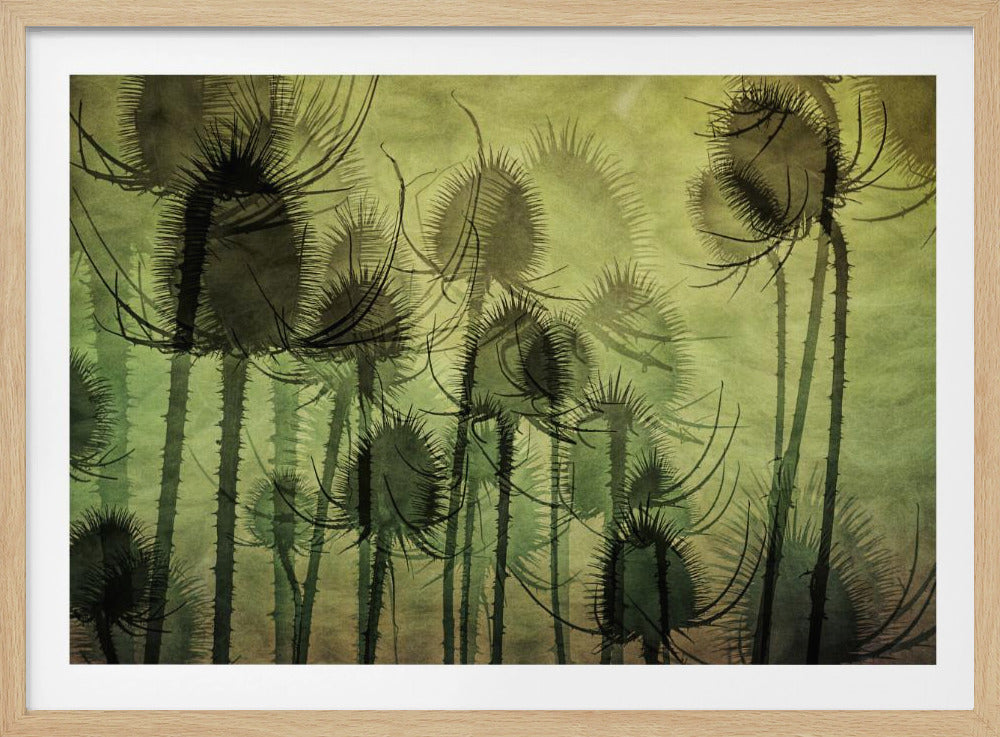 Wilde Karde | Poster