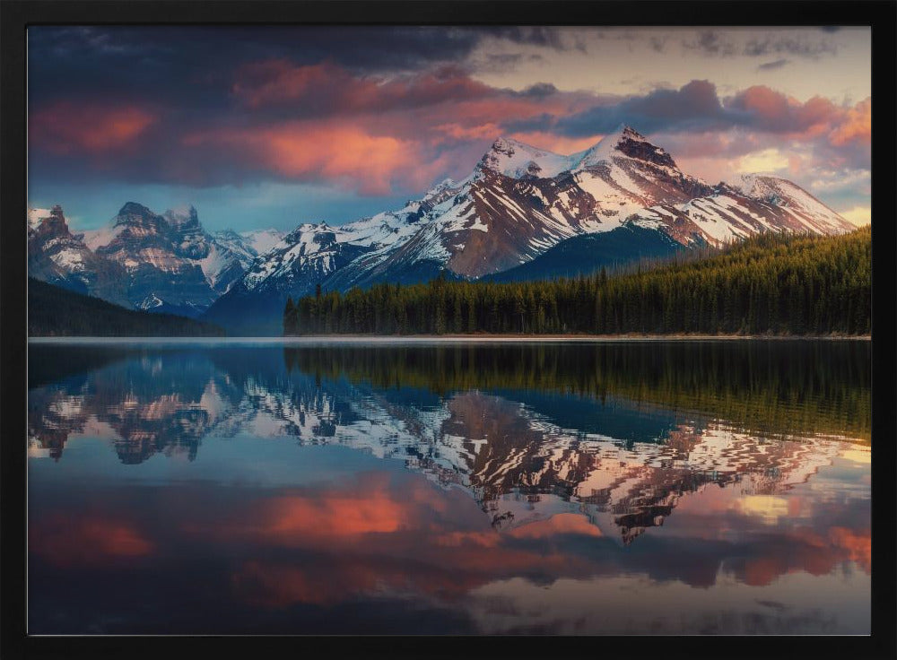 Maligne Farbe. | Poster