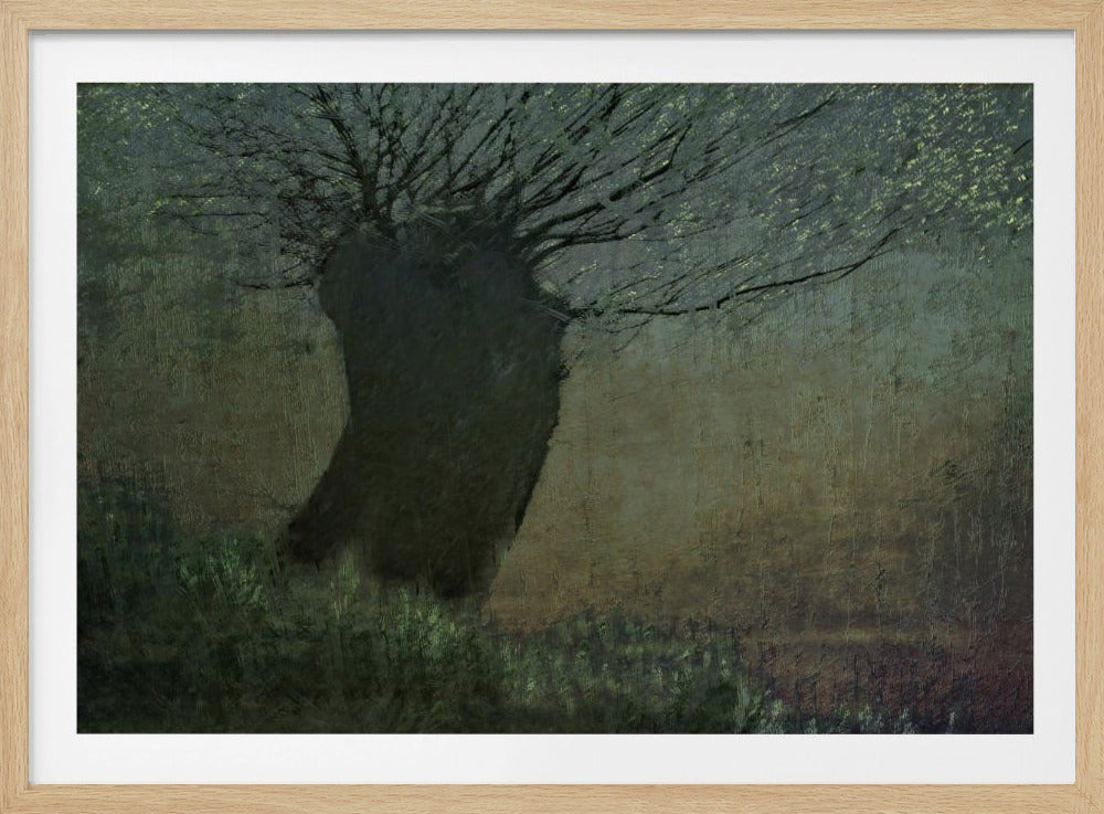 Weide am Wasser | Poster