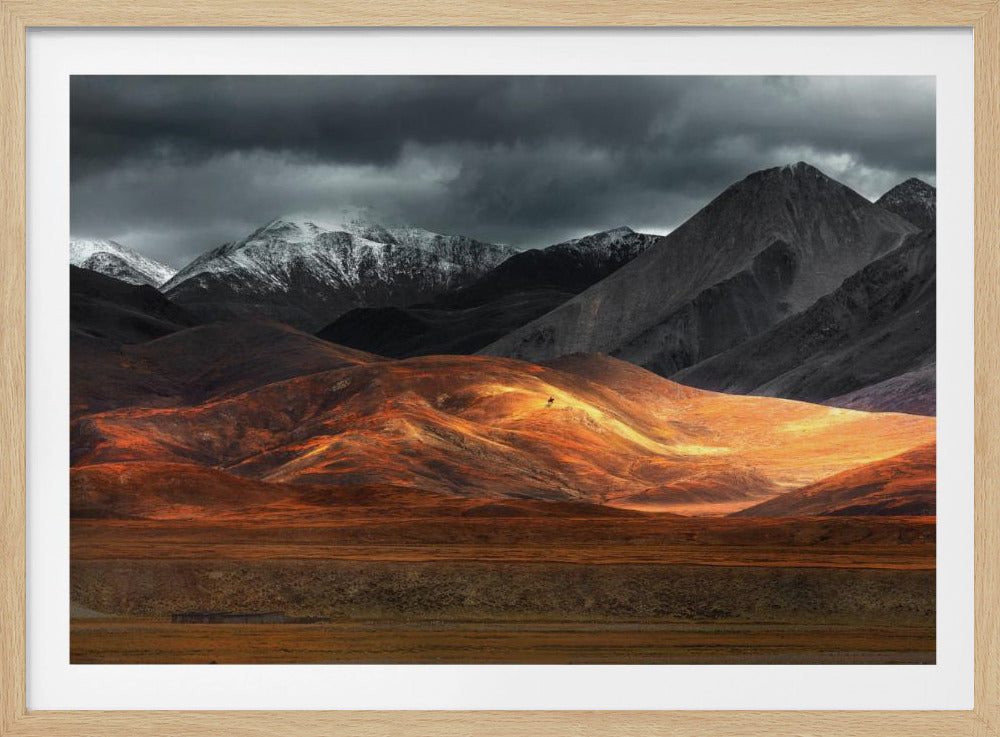 Pano | Poster