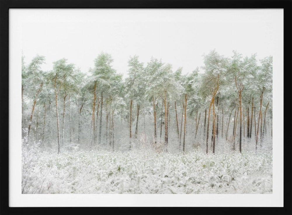 Schneewelt | Poster