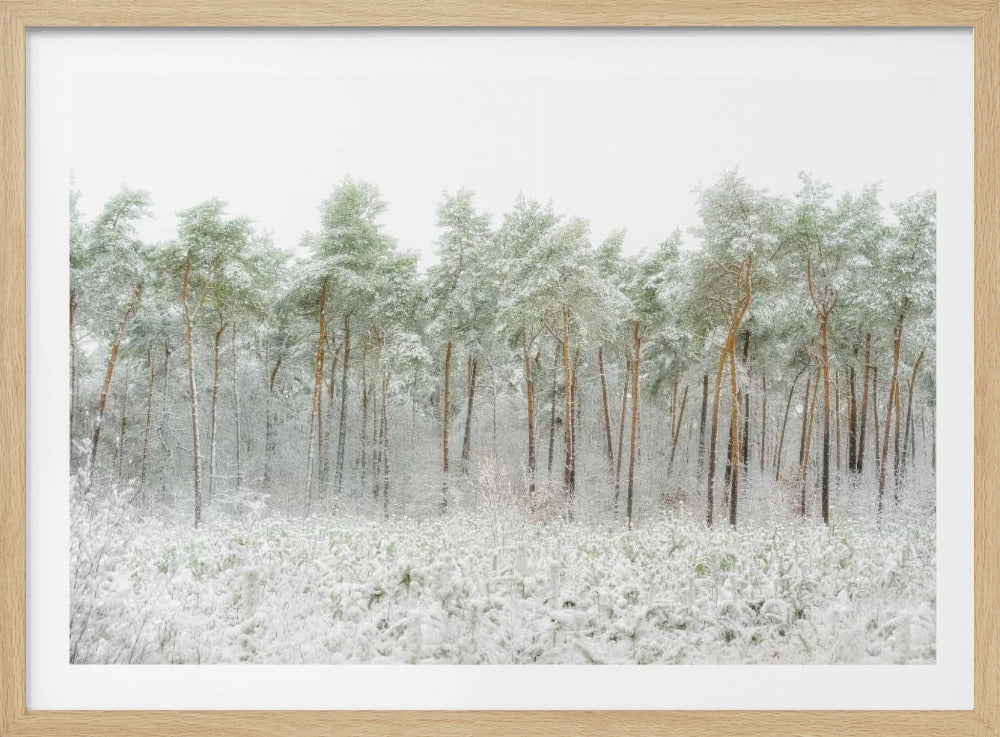 Schneewelt | Poster