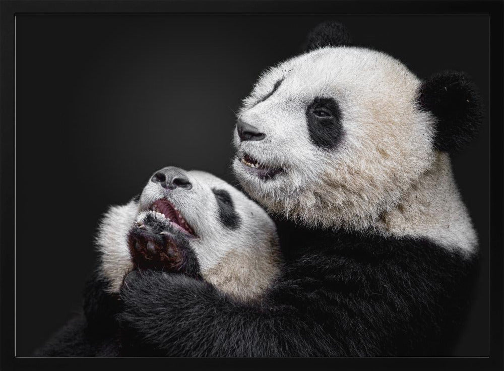 Pandas | Poster