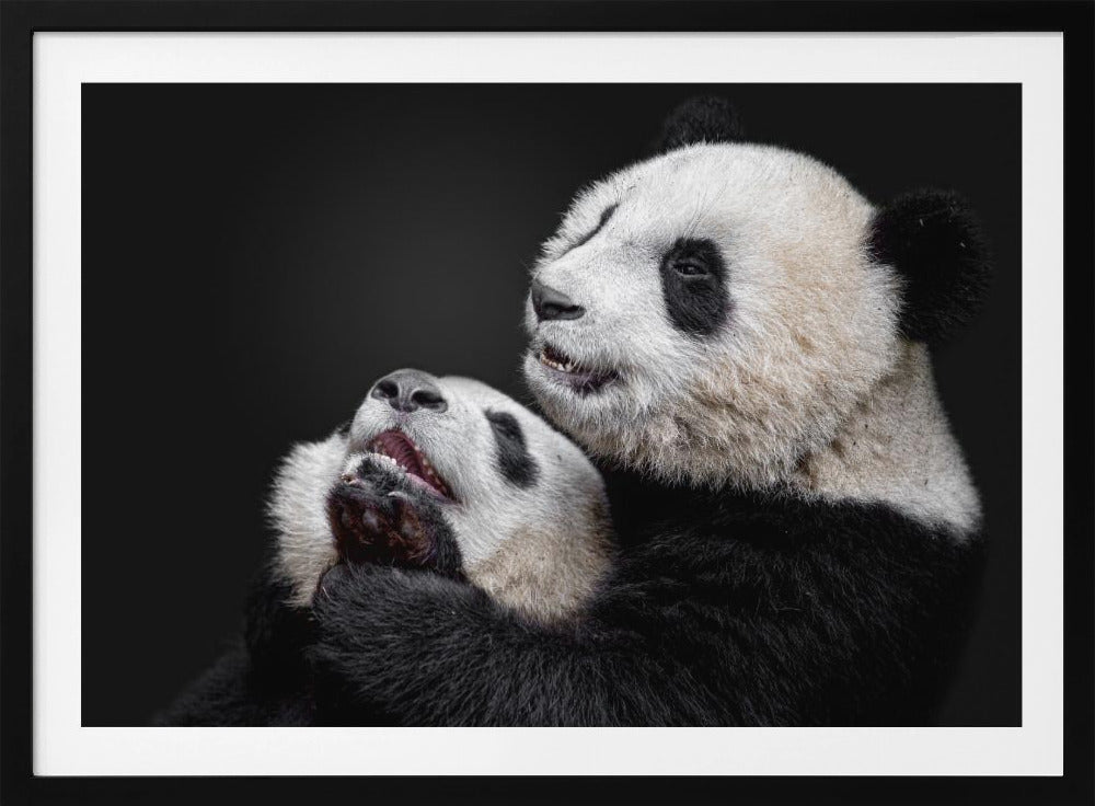 Pandas | Poster
