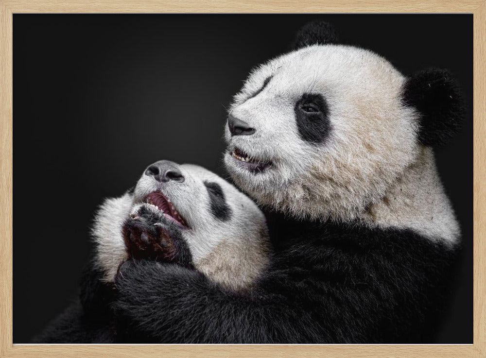 Pandas | Poster