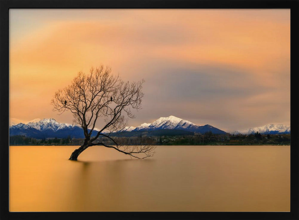 Morgenrot des Lake Wanaka | Poster