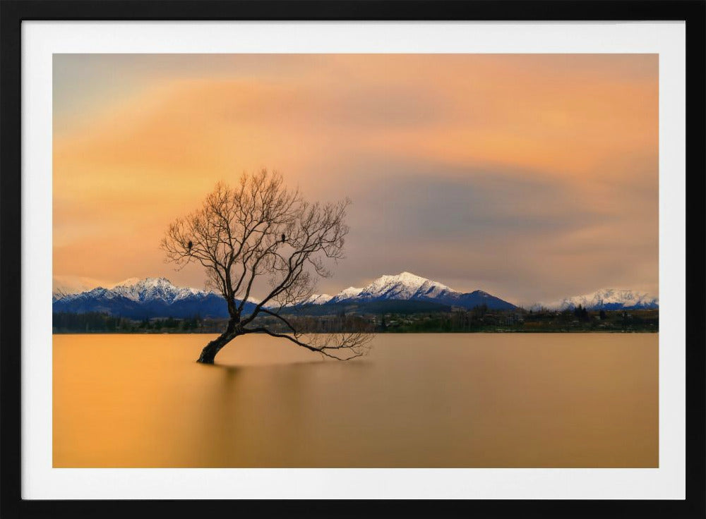 Morgenrot des Lake Wanaka | Poster