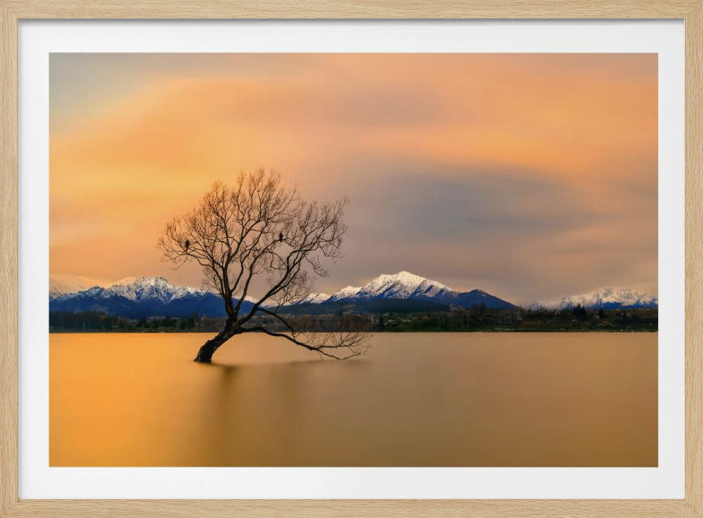 Morgenrot des Lake Wanaka | Poster