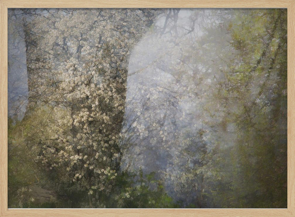 Blossom | Poster