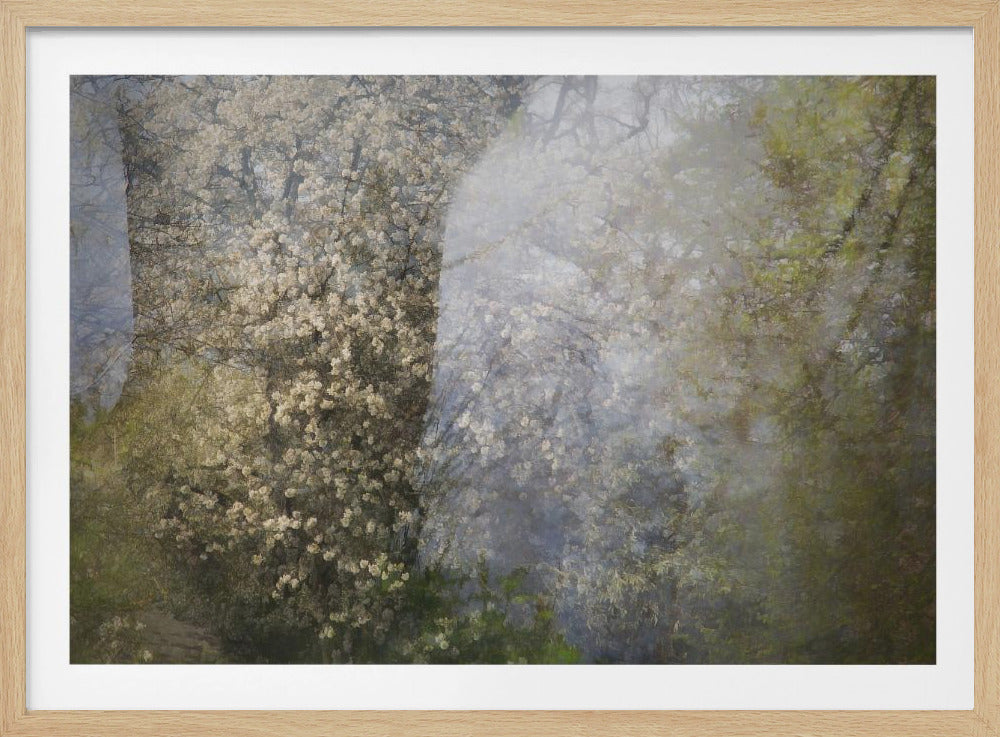 Blossom | Poster