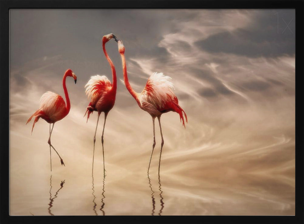 kämpfen ... | Poster