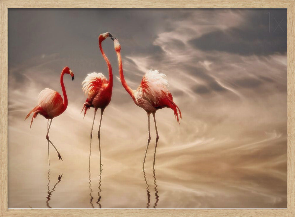 kämpfen ... | Poster