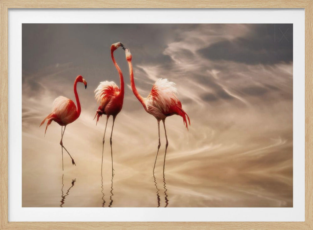 kämpfen ... | Poster