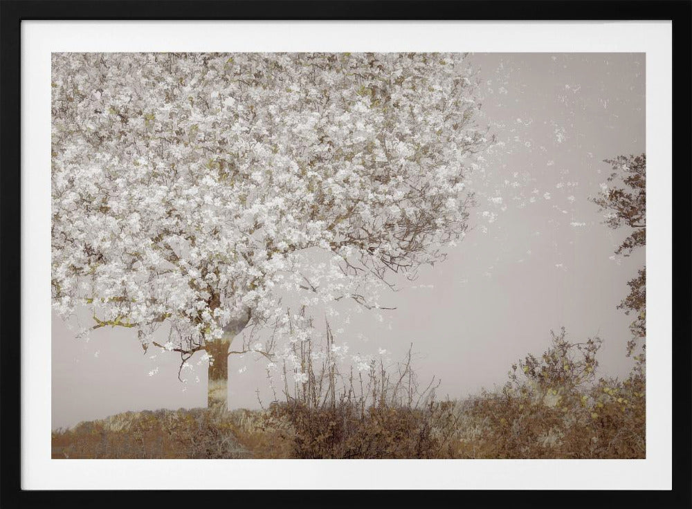 Fruit tree | Poster