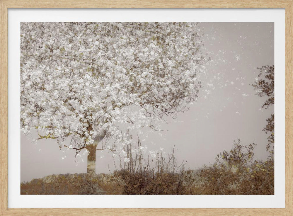 Fruit tree | Poster
