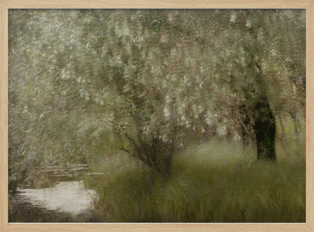 At the riverbank | Poster