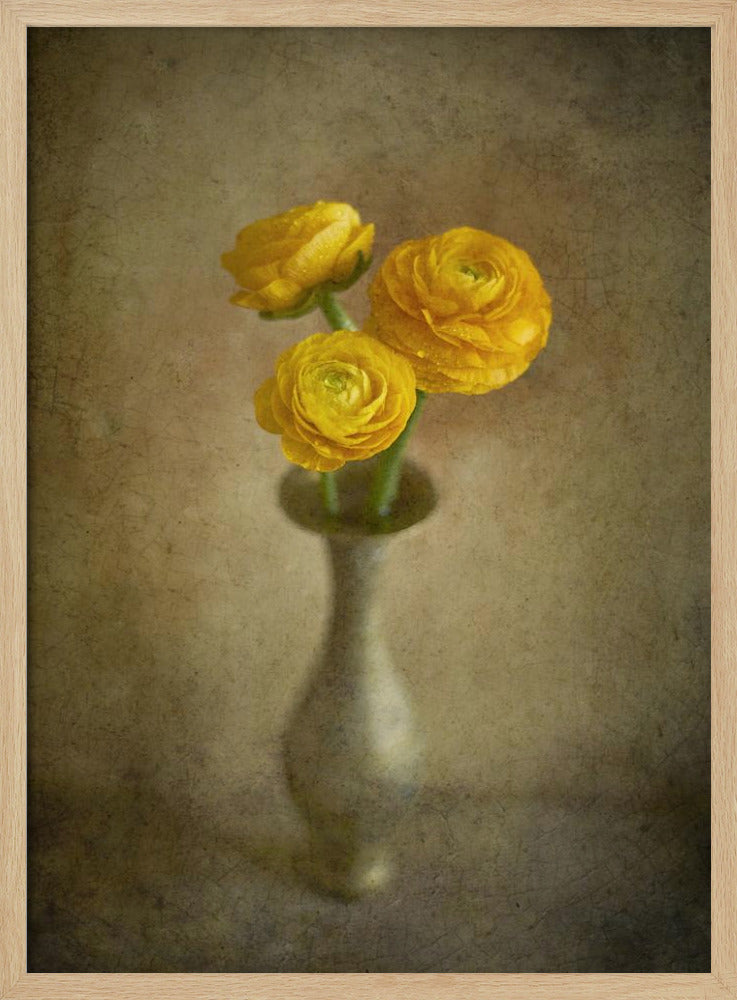 Gelbe Butterblumen | Poster