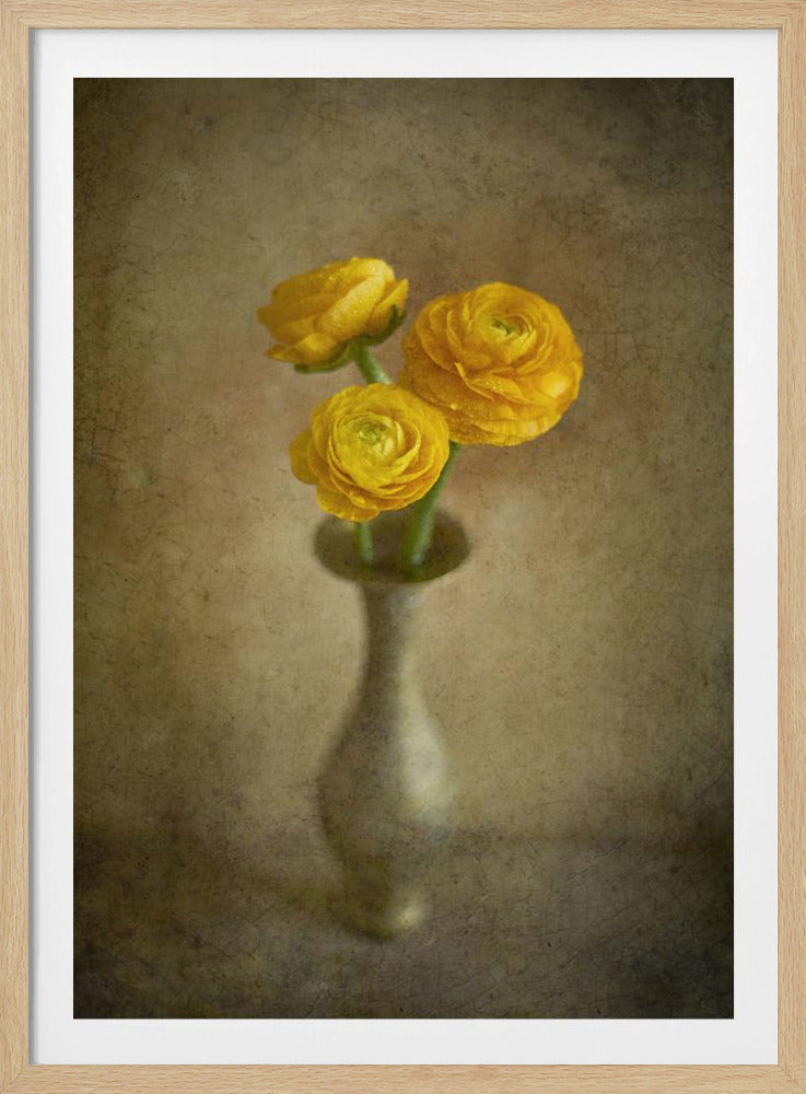 Gelbe Butterblumen | Poster