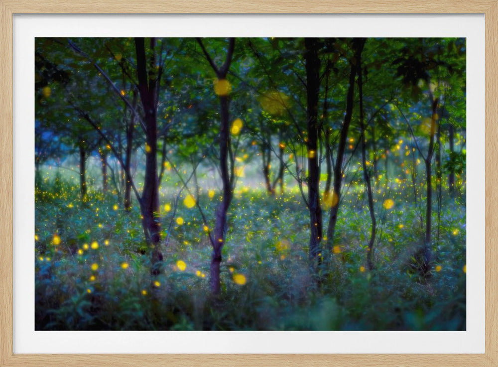 Magische Glühwürmchen | Poster