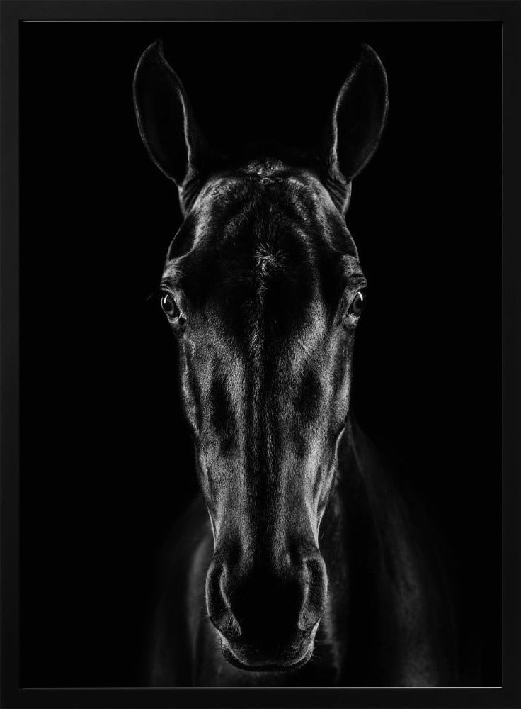 Das Pferd in Noir 15 | Poster