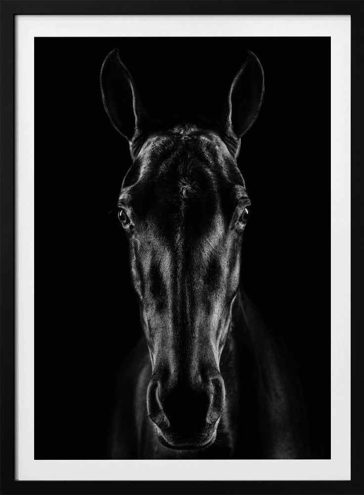 Das Pferd in Noir 15 | Poster