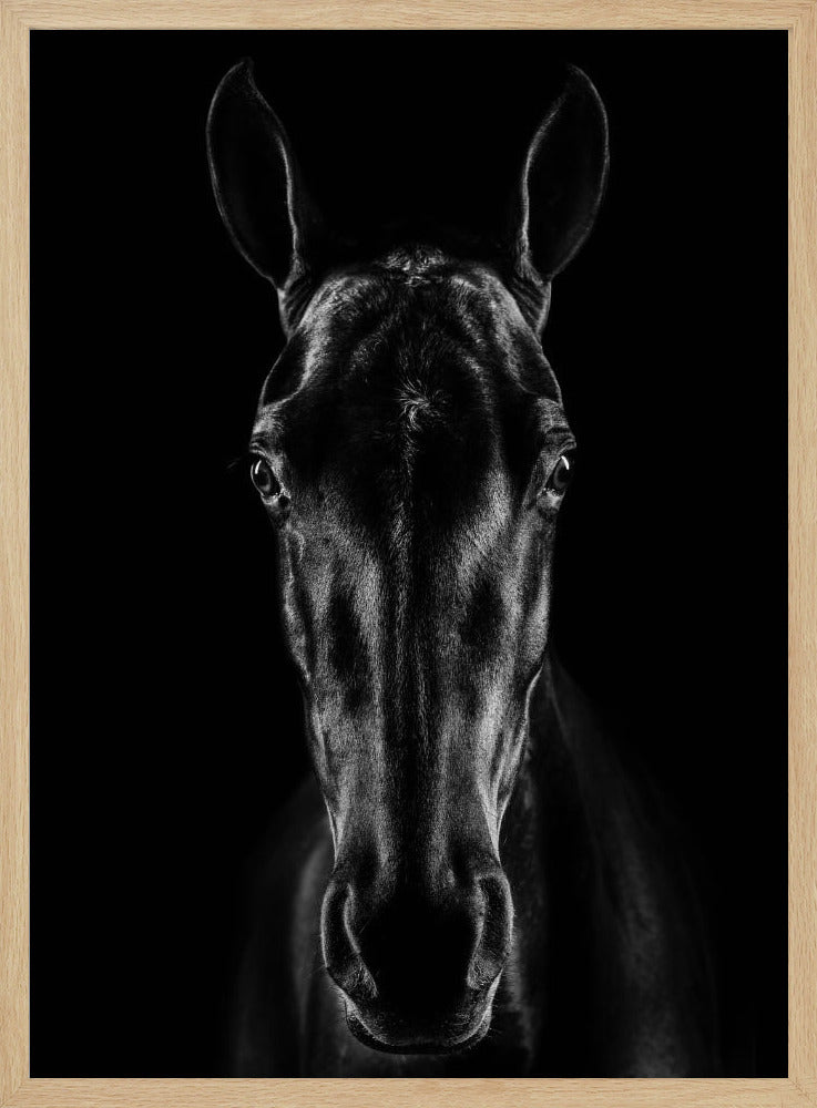 Das Pferd in Noir 15 | Poster