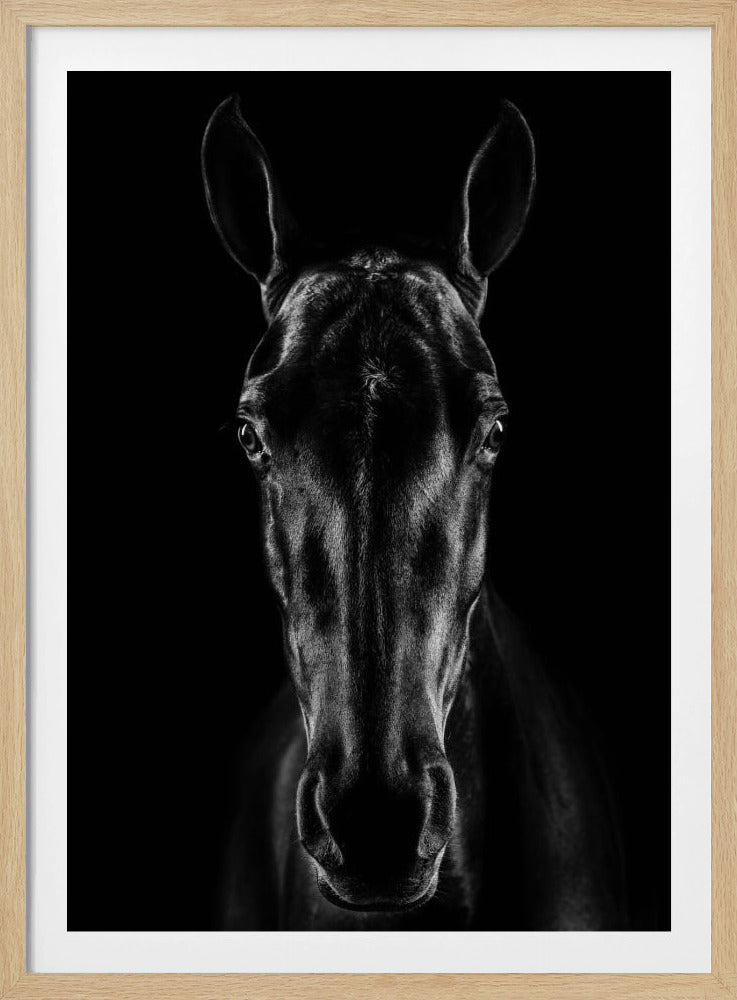Das Pferd in Noir 15 | Poster